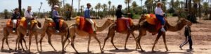 camel trekking Marrakech